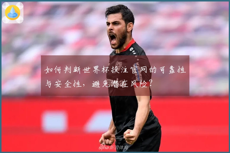 如何判断世界杯投注官网的可靠性与安全性，避免潜在风险？