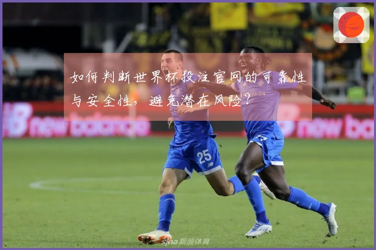 如何判断世界杯投注官网的可靠性与安全性，避免潜在风险？