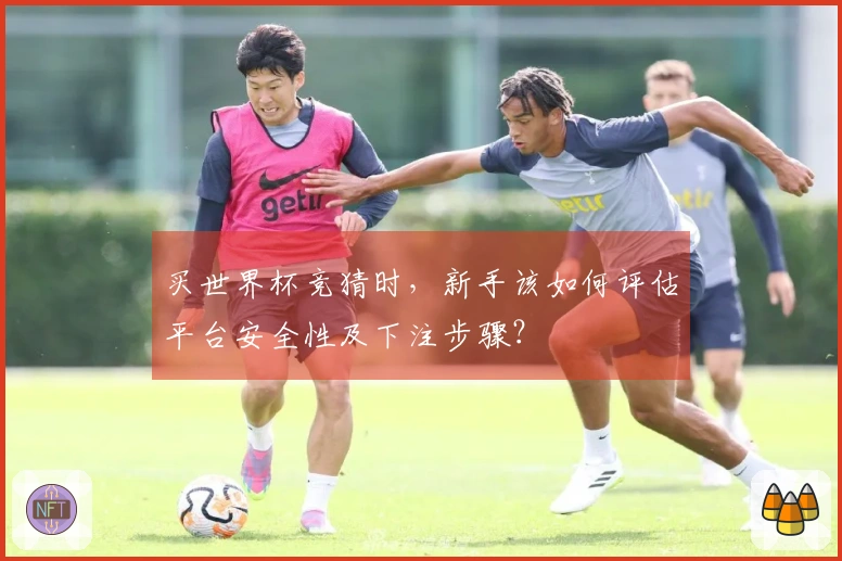 买世界杯竞猜时，新手该如何评估平台安全性及下注步骤？