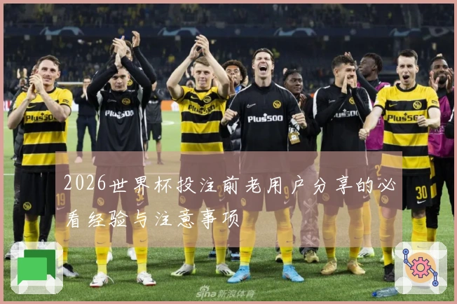 2026世界杯投注前老用户分享的必看经验与注意事项