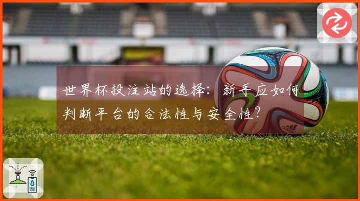 世界杯投注站的选择：新手应如何判断平台的合法性与安全性？